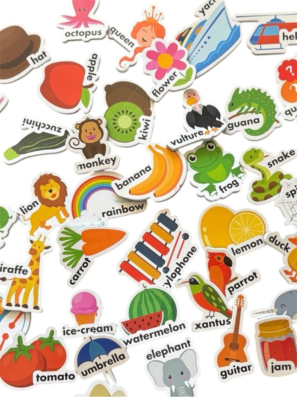 51 Colorful Foam Object Magnets With Written Words Language Learning Set